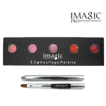 Load image into Gallery viewer, IMAGIC lipstick Palette lasting natural beauty makeup Pigment Cosmetic Set Waterproof - nevaehshalo