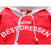 Load image into Gallery viewer, New Cotton Boys Sports Hooded Tops Pants 2pcs Sets