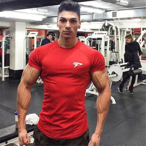 Quick Dry Fit   Men Fitness T-shirt Elastic Sportswear Basketball Tshirt - nevaehshalo